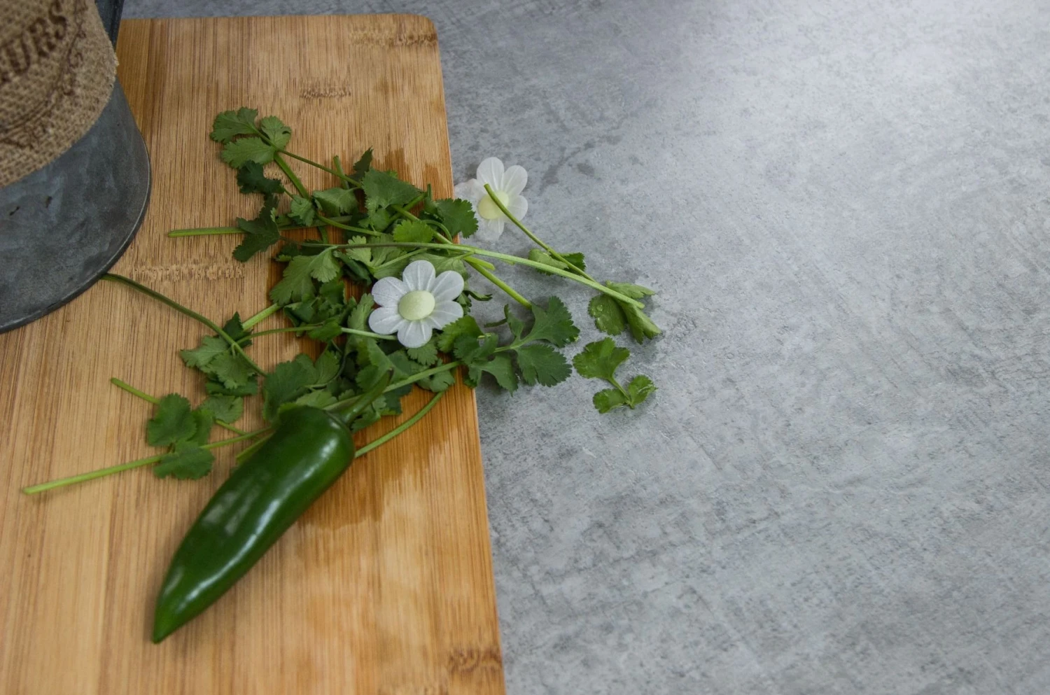 Woodstone Grey Solid Compact - Image 4